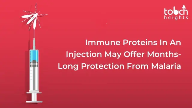 Immune Proteins In An Injection May Offer Months-Long Protection From Malaria