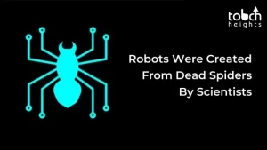 Robots Were Created From Dead Spiders By Scientists Robots Were Created From Dead Spiders By Scientists