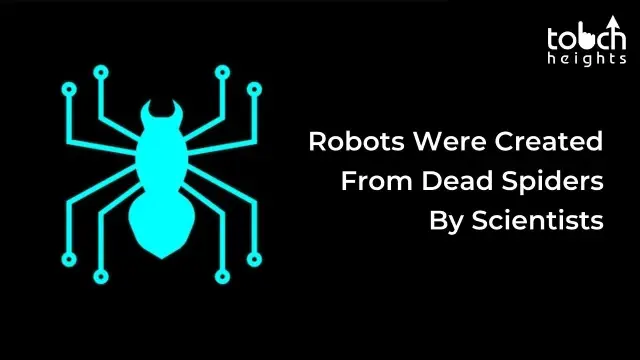 Robots Were Created From Dead Spiders By Scientists