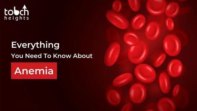 Everything You Need To Know About Anemia Touchheights 2027