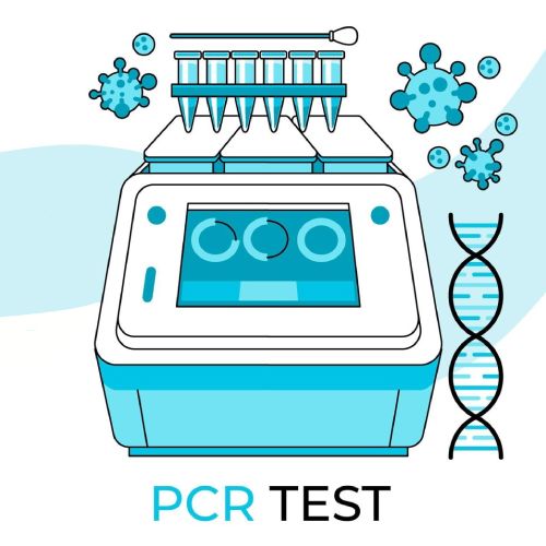 What exactly is PCR – How PCR and RT-PCR technologies differs from each other?