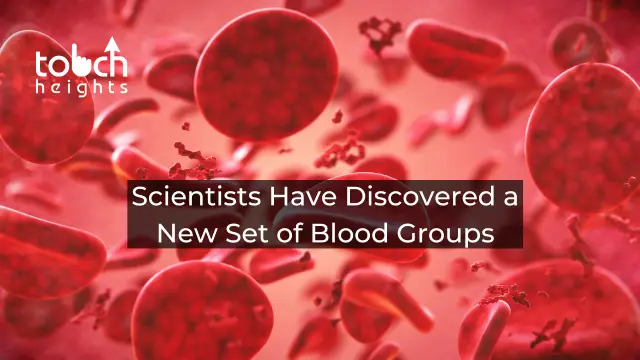 Scientists Have Discovered a New Set of Blood Groups Scientists Have Discovered a New Set of Blood Groups