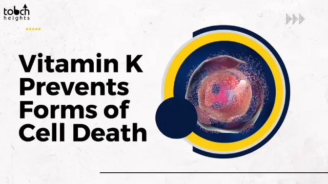 Vitamin K Prevents Forms of Cell Death Vitamin K Prevents Forms of Cell Death