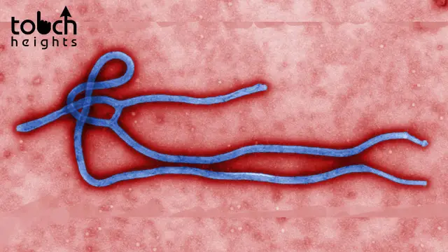 Ebola Virus Disease Is Back ebola