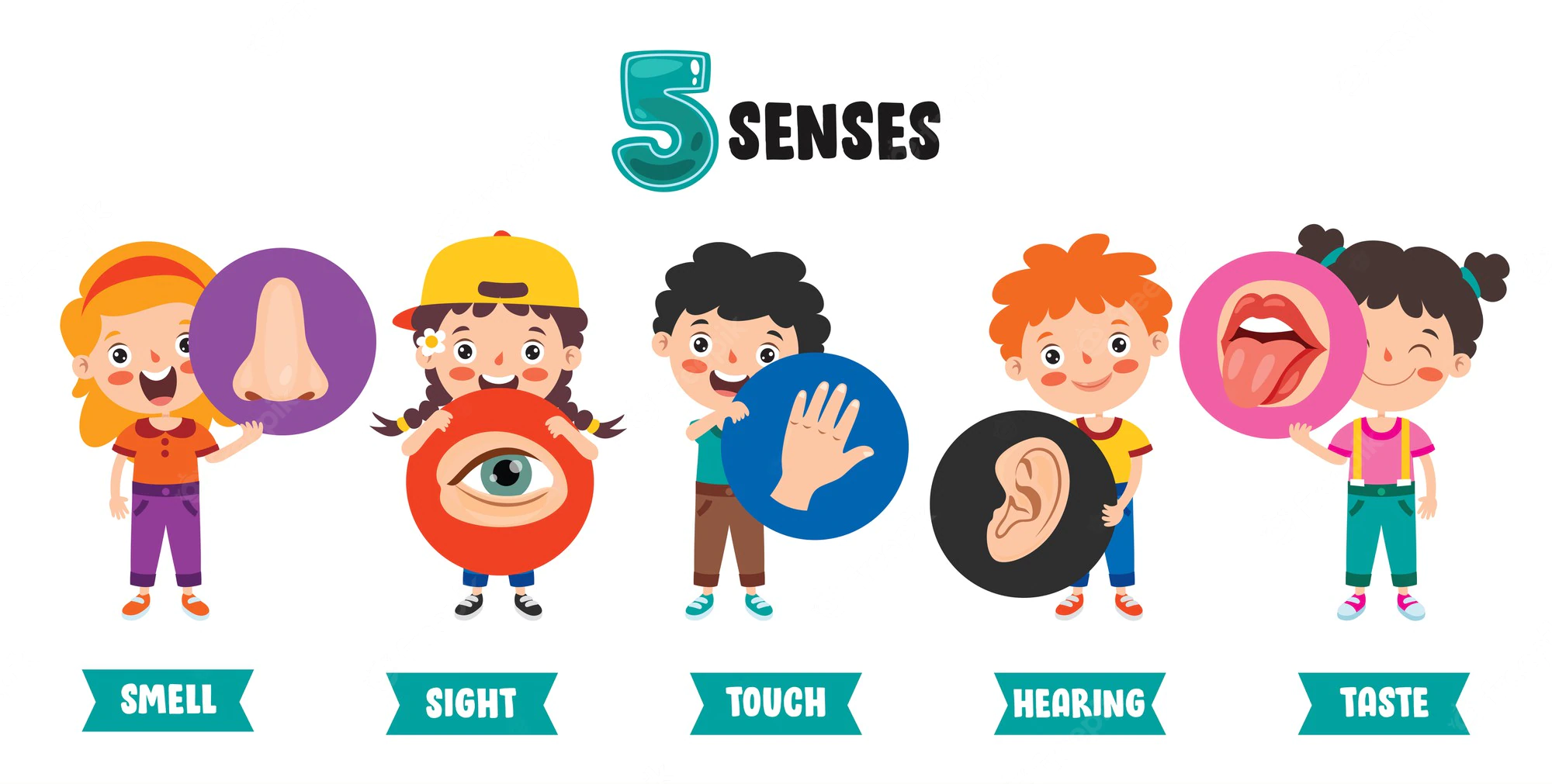 five senses