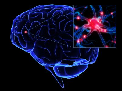 Recognizing The Brain's Chemical Processes