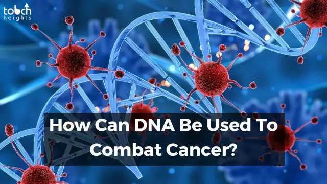 How Can DNA Be Used To Combat Cancer? How Can DNA Be Used To Combat Cancer?