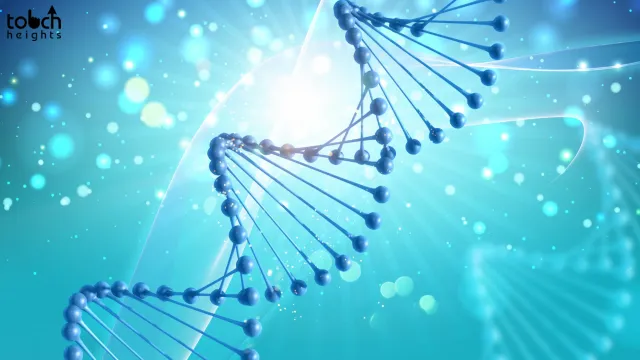 What Are The Foundational Principles Of Genetics? Basic Principles of Genetics