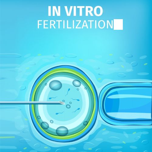 in vitro fertilization – What changes does aging have on a woman's reproductive system?