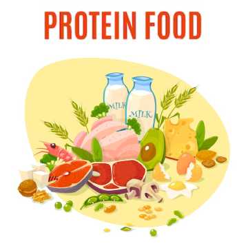 Eat a lot of protein-rich foods