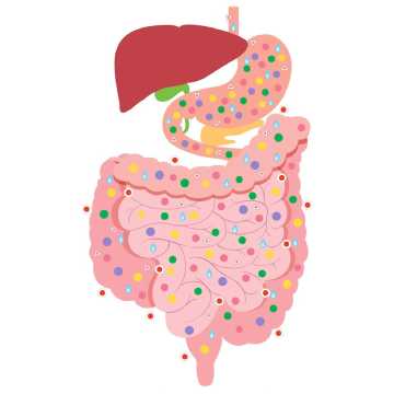 Gastrointestinal viral infections