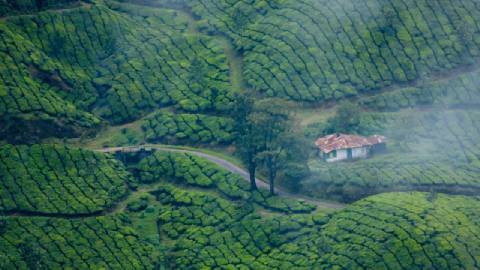 Kerala