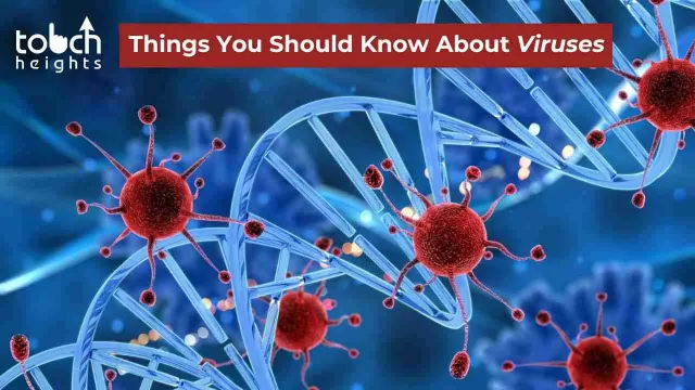 What are the key points you should know about viruses?