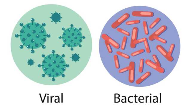 viral or bacterial