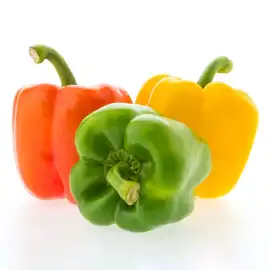 Bell Pepper