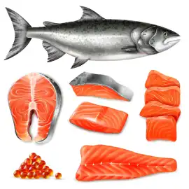 Salmon