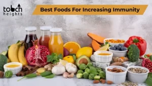 The Best Foods for Increasing Immunity