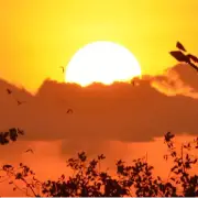 sun rises in india