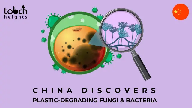 China discovers plastic-degrading fungi and bacteria that could aid in the fight against global waste CHINA DISCOVERS PLASTIC-DEGRADING FUNGI AND BACTERIA THAT COULD AID IN THE FIGHT AGAINST GLOBAL WASTE