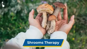 Shrooms as Therapeutic Tools? Award-Winning Scientist Investigates