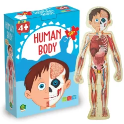 Human Body Puzzle